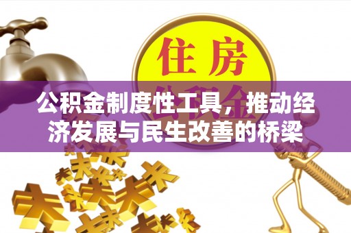 洛隆公积金制度性工具，推动经济发展与民生改善的桥梁