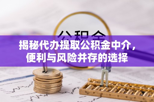 洛隆揭秘代办提取公积金中介，便利与风险并存的选择