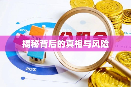 洛隆揭秘背后的真相与风险
