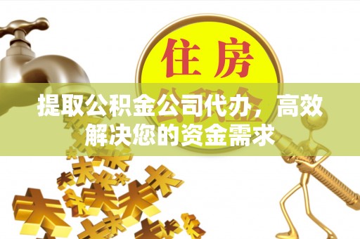 洛隆提取公积金公司代办，高效解决您的资金需求