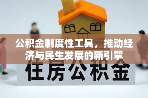 洛隆公积金制度性工具，推动经济与民生发展的新引擎