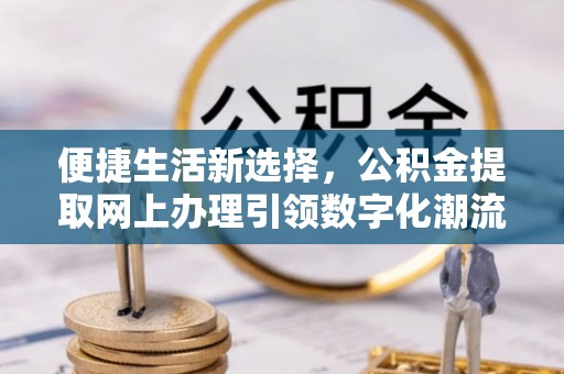 洛隆便捷生活新选择，公积金提取网上办理引领数字化潮流