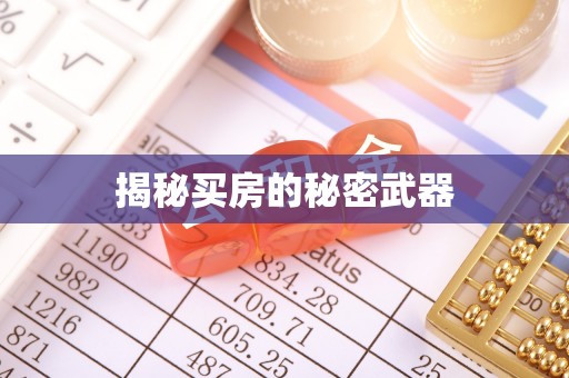 洛隆揭秘买房的秘密武器