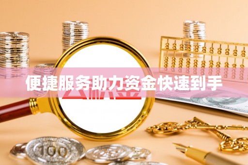 洛隆便捷服务助力资金快速到手