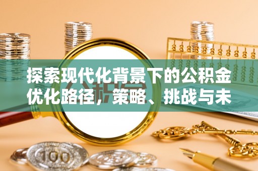 洛隆探索现代化背景下的公积金优化路径，策略、挑战与未来展望