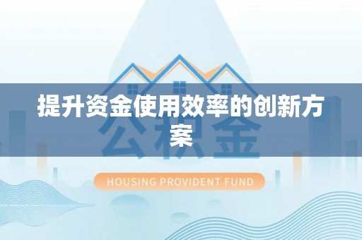 洛隆提升资金使用效率的创新方案