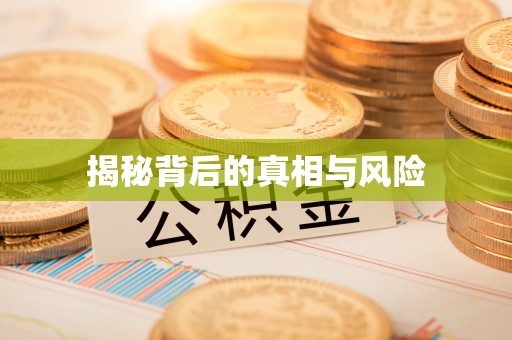 洛隆揭秘背后的真相与风险