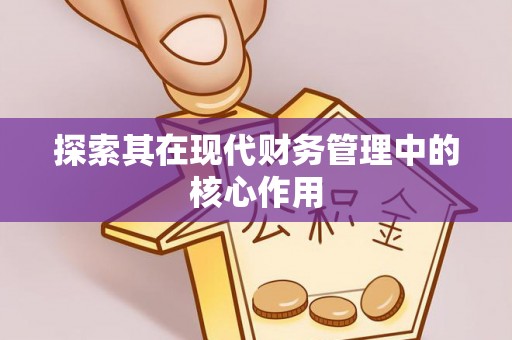 洛隆探索其在现代财务管理中的核心作用