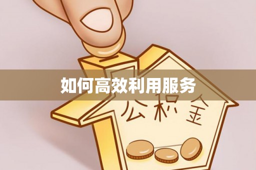 洛隆如何高效利用服务