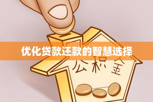洛隆优化贷款还款的智慧选择