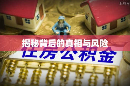 洛隆揭秘背后的真相与风险