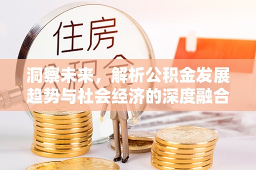 洛隆洞察未来，解析公积金发展趋势与社会经济的深度融合
