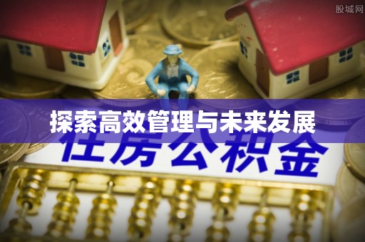 洛隆探索高效管理与未来发展