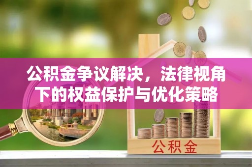 洛隆公积金争议解决，法律视角下的权益保护与优化策略