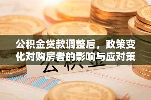 洛隆公积金贷款调整后，政策变化对购房者的影响与应对策略