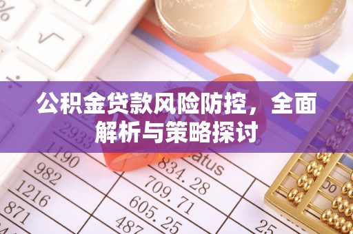 洛隆公积金贷款风险防控，全面解析与策略探讨