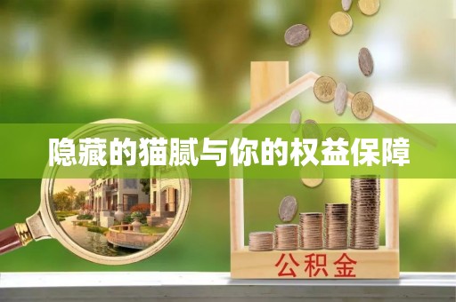 洛隆隐藏的猫腻与你的权益保障