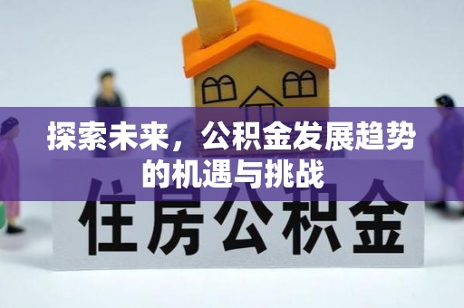 洛隆探索未来，公积金发展趋势的机遇与挑战