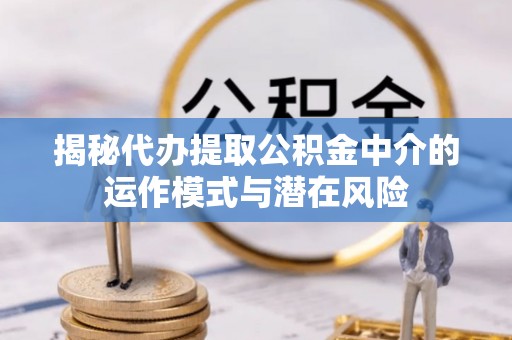 洛隆揭秘代办提取公积金中介的运作模式与潜在风险