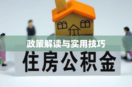 洛隆政策解读与实用技巧