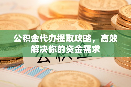 洛隆公积金代办提取攻略，高效解决你的资金需求