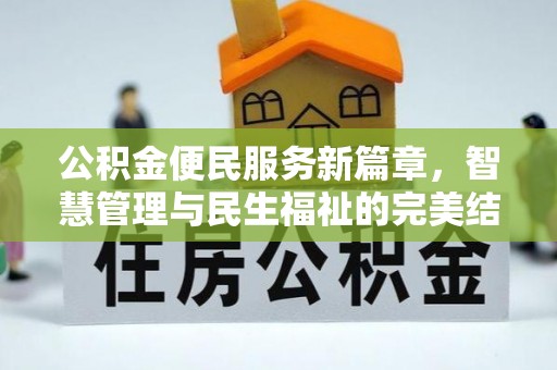 洛隆公积金便民服务新篇章，智慧管理与民生福祉的完美结合