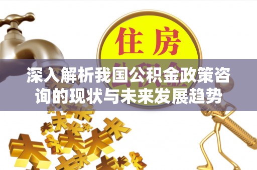 洛隆深入解析我国公积金政策咨询的现状与未来发展趋势