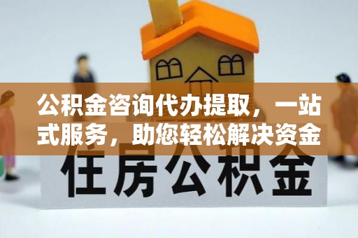 洛隆公积金咨询代办提取，一站式服务，助您轻松解决资金难题