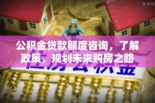 洛隆公积金贷款额度咨询，了解政策，规划未来购房之路