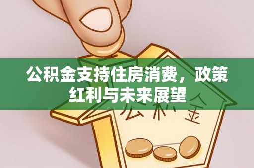 洛隆公积金支持住房消费，政策红利与未来展望