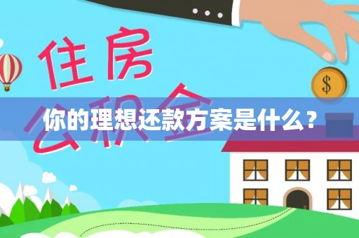 洛隆你的理想还款方案是什么？