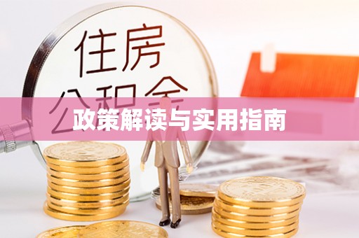 洛隆政策解读与实用指南