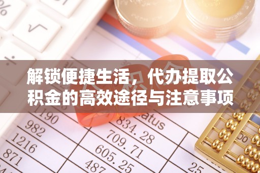 洛隆解锁便捷生活，代办提取公积金的高效途径与注意事项