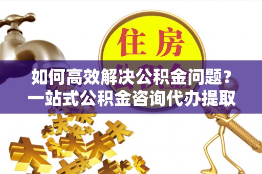 洛隆如何高效解决公积金问题？一站式公积金咨询代办提取服务全解析