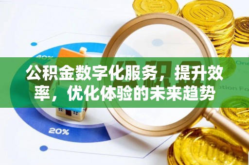 洛隆公积金数字化服务，提升效率，优化体验的未来趋势