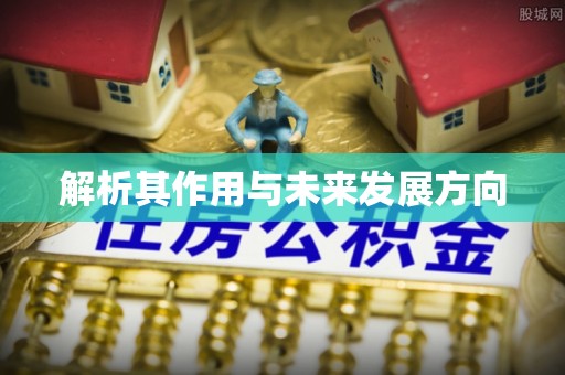 洛隆解析其作用与未来发展方向