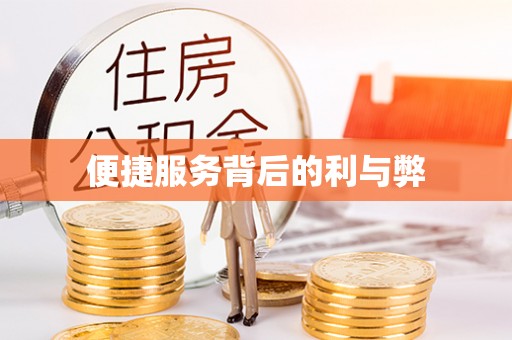 洛隆便捷服务背后的利与弊