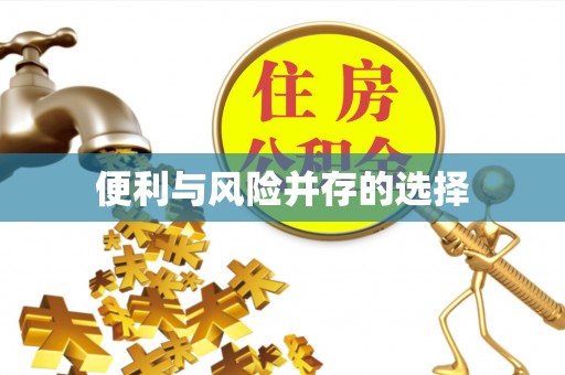 洛隆便利与风险并存的选择