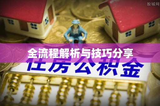 洛隆全流程解析与技巧分享